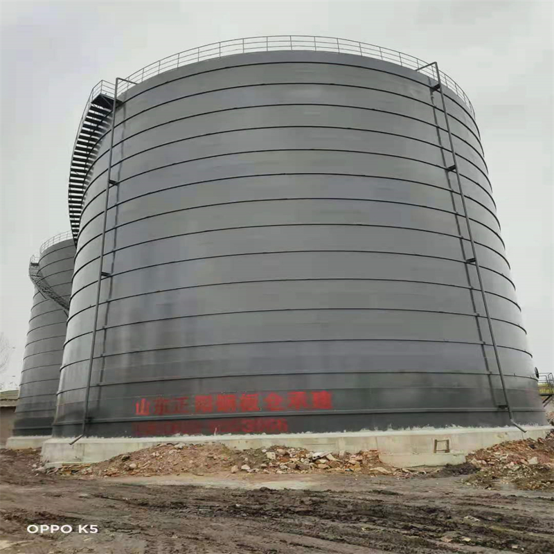 桃城3万吨大型钢板库