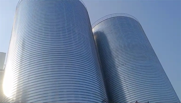 桃城2座混凝土高架卷板仓